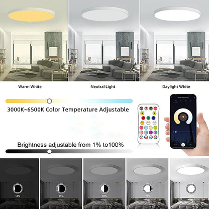 LiveHus- Smart WIFI LED Round Ceiling Light